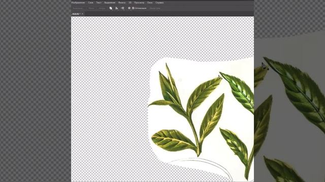 Обработка акварельной иллюстрации в программе Photoshop смотреть онлайн