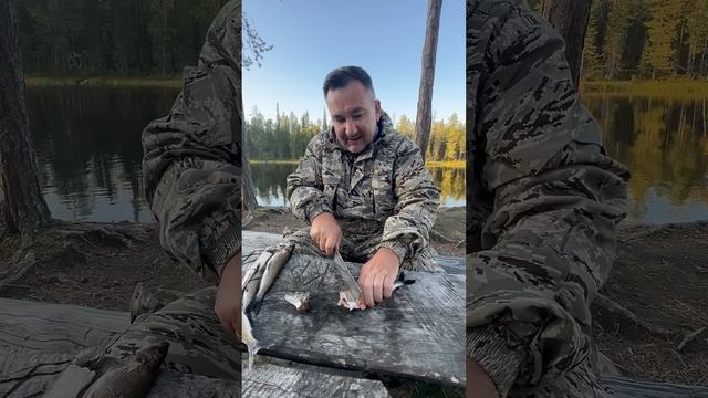 Карелия. Закуска из хариуса смотреть онлайн