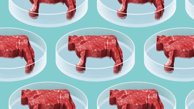 The Facts About Clean Meat  - Lab-Grown Meat: The Future Of Food