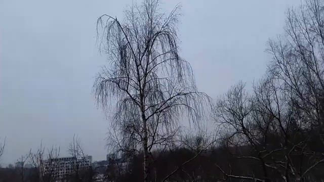 Прогноз от 31 3 18... С 4... Таким будет день... смотреть онлайн