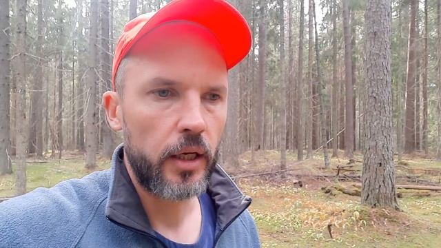 Что делать, если встретил медведя в лесу? Что делать при нападении медведя? смотреть онлайн