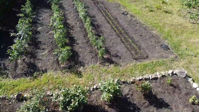 Дача в лесу у Жигулевских гор смотреть онлайн