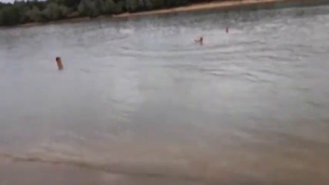 Тлюстенхабль 2 смотреть онлайн