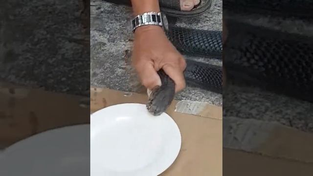 Нячанг Вьетнам как съесть змею смотреть онлайн