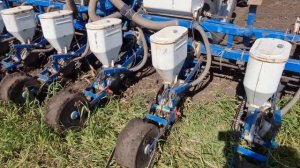 сеем подсолнух!