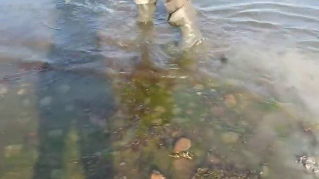 Якорь складной * Незацепляйка* смотреть онлайн