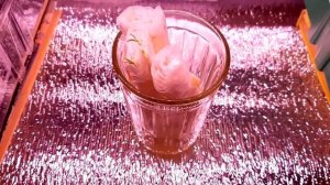 Посев томатов в улитку с пикировкой и в стаканчики без пикировки