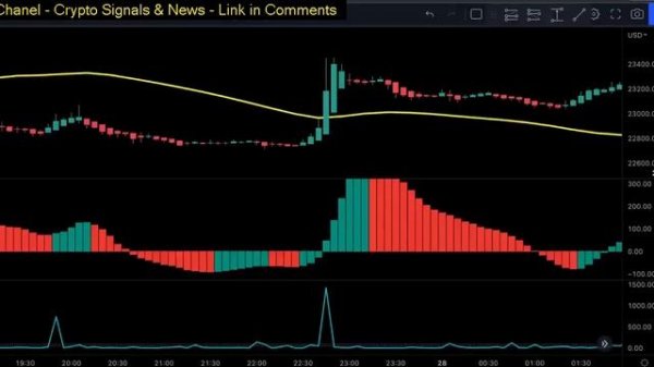 Python Crypto Trading Bot Course - Algorithmic Trading Using Python - Full Course