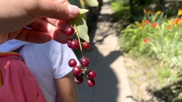 Панорама район | Краснодар в июле | понаехи | жара в бассейне смотреть онлайн