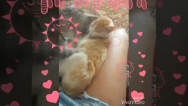 Асель делает массаж Маркизу в деревне