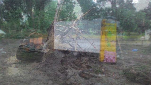 Буревій в наметовому містечку Незабудка (оз.Світязь) 2015 (Фото) смотреть онлайн