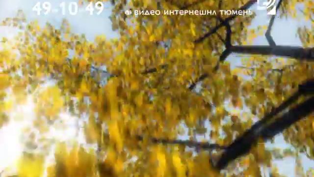 Видео Интернешнл Тюмень 2007. Осенняя заставка смотреть онлайн