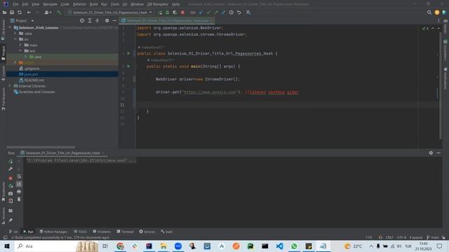 Java Selenium JUnit 01 Driver, title, url, pagesources , windowhandel смотреть онлайн
