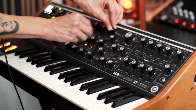 The Power of the MOOG SUBSEQUENT 37 смотреть онлайн