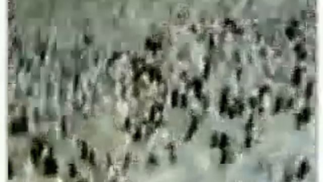 Ангелы реальное видео!Alahu Akbar смотреть онлайн