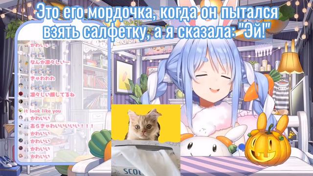 Пекора показывает фото ее котика с мордочкой [Hololive/RU Sub] смотреть онлайн