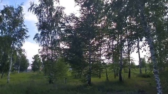 17 июня-МИТРОФАНОВ ДЕНЬ.Помнить будет 9 лет Народные приметы. смотреть онлайн