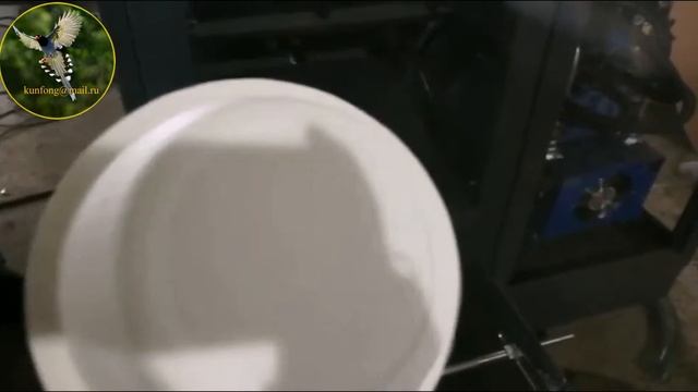 ПРОИЗВОДСТВО БУМАЖНЫХ ТАРЕЛОК И ПОДЛОЖЕК смотреть онлайн