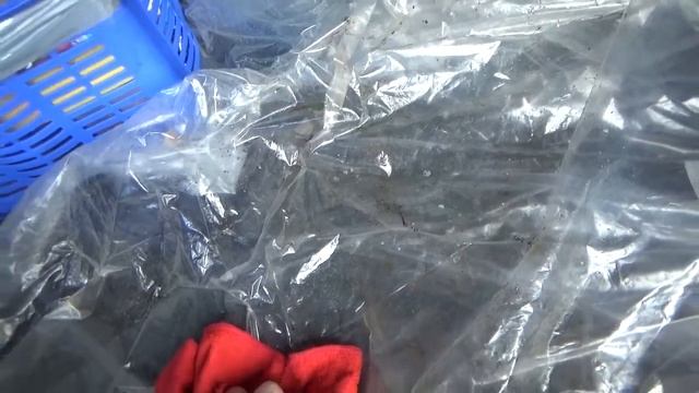 Это должно быть в каждом багажнике автомобиля. смотреть онлайн