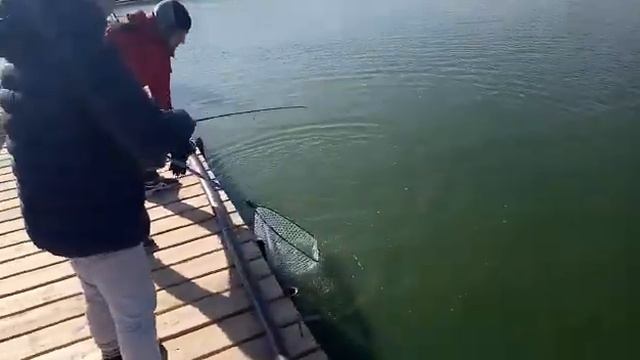 Дети уходят в отрыв! смотреть онлайн