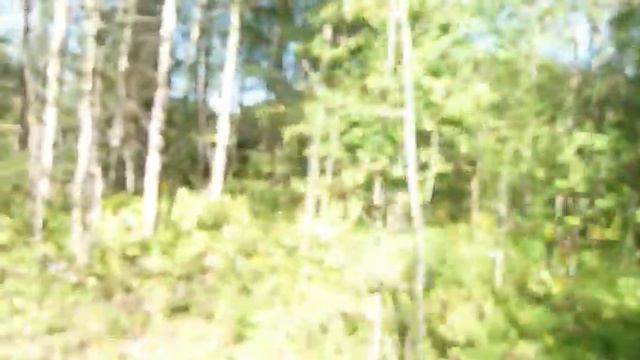 Голубые Озера.Прибытие. смотреть онлайн