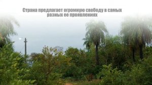 Жизнь русских в Парагвае