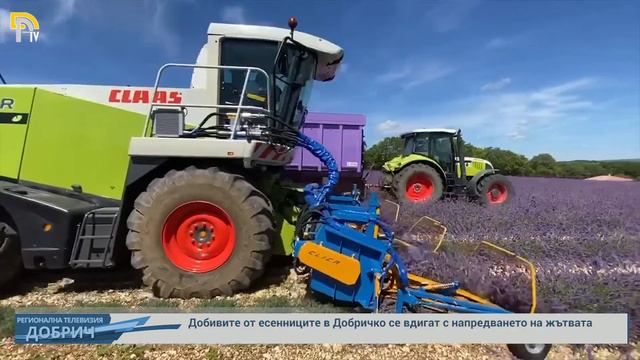 Добивите от есенниците в Добричко се вдигат с напредването на жътвата смотреть онлайн