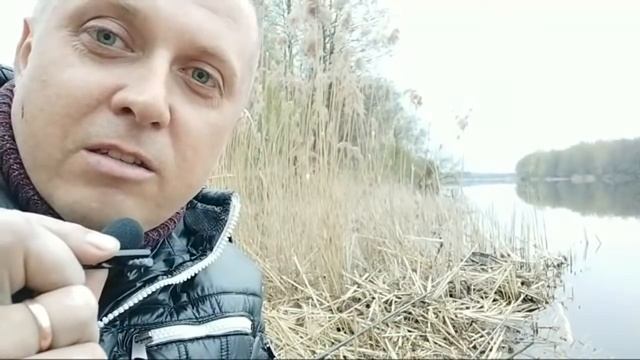 Рыболовные Приключения. Стрим с Рыбалки. Рыбалка на поплавок в поисках линя. смотреть онлайн