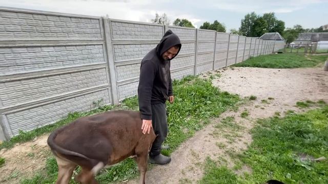 НАКОНЕЦ-ТО МЫ ЭТО СДЕЛАЛИ! ПЕРЕЕЗД В НОВЫЙ ДОМ! НАША ФЕРМА! ЖИЗНЬ ПРОСТЫХ ЛЮДЕЙ В ДЕРЕВНЕ! смотреть онлайн