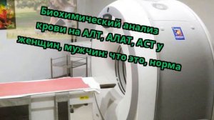 Биохимический анализ крови на АЛТ, АЛАТ, АСТ у женщин, мужчин: что это, норма