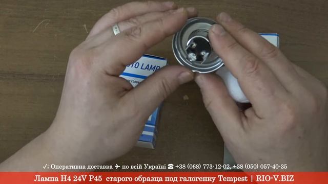 Лампа Н4 24V Р45 старого образца под галогенку Tempest | RIO-V.BIZ смотреть онлайн