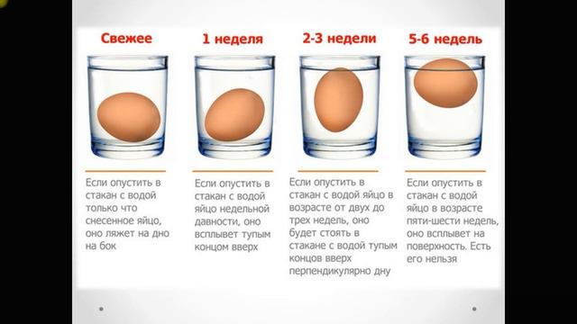 Технология сабагы | 5-класс | Жумурткадан даярдалган тамактар смотреть онлайн