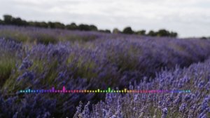 Вабабай - Даргинская песня