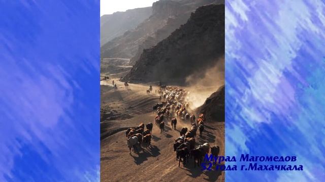 28 сентября 2021 г. смотреть онлайн