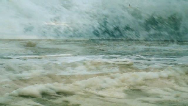 Чайки на море зимой. Красивое видео смотреть онлайн