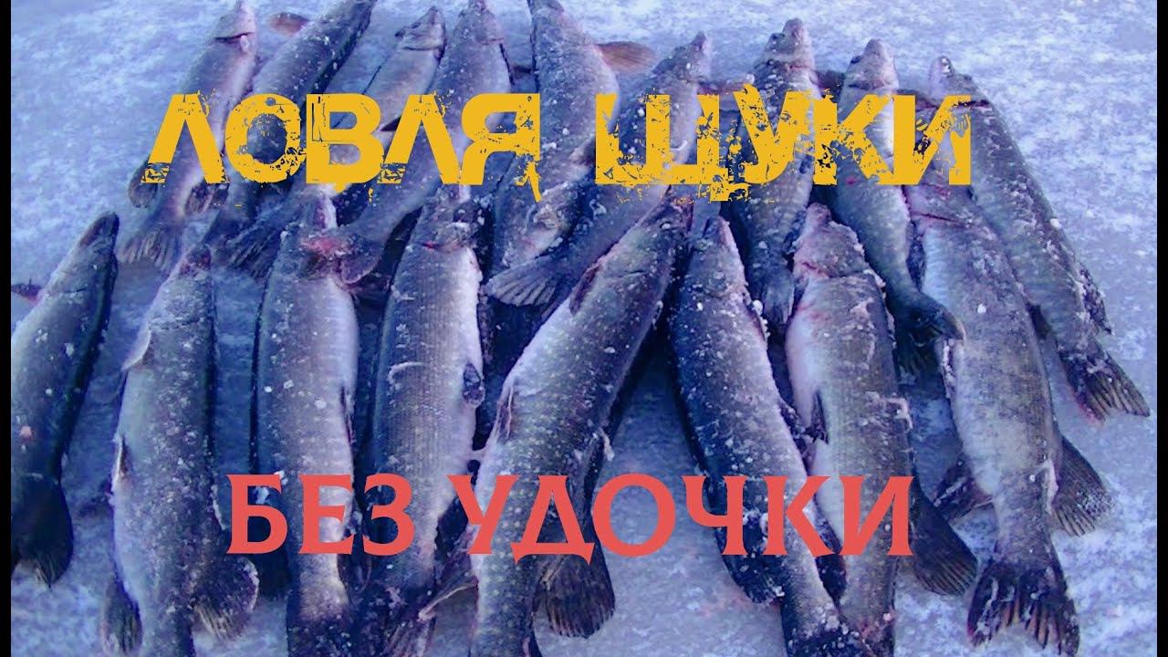 БЕШЕННАЯ ЖЕРЛИЦА смотреть онлайн