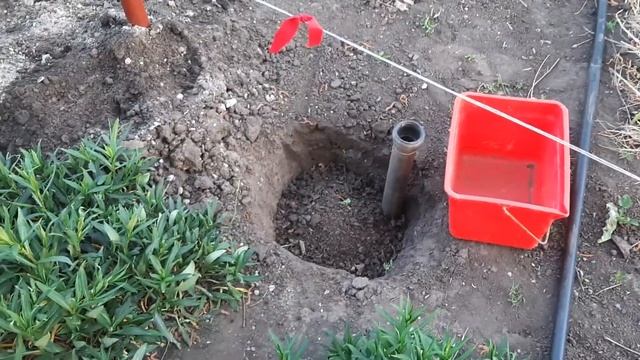 Посадите Виноград ТАК Урожай ведрами будете собирать. Подкормка для винограда. смотреть онлайн