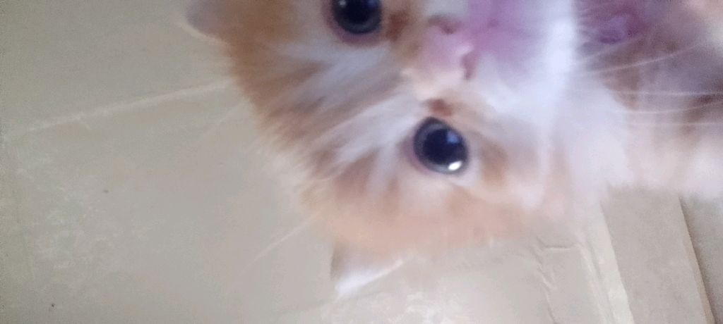 гулять!!! смотреть онлайн