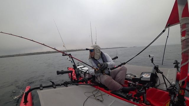 Deep-sea trolling for Sea Bass - Fishing with spreader bar - Exciters and teasers смотреть онлайн