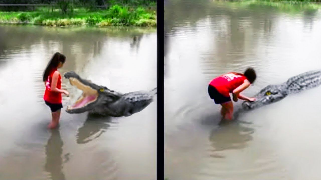 Случаи, Когда Опасные Животные Хотят Дружить смотреть онлайн