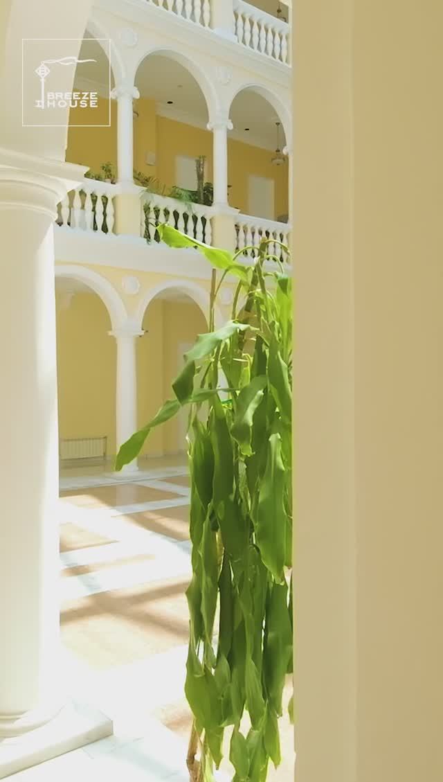 Апартаменты в Тавриде. Купить квартиру в центре Ялты смотреть онлайн