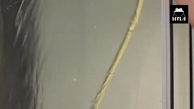 СТИМЕР 1 смотреть онлайн
