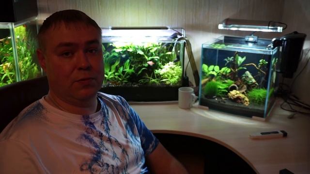 Аква влог. Измеряем TDS и Kh в креветочнике. Немного новостей смотреть онлайн