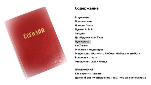 Сегодня. Скат Ли. Аудиокнига. смотреть онлайн