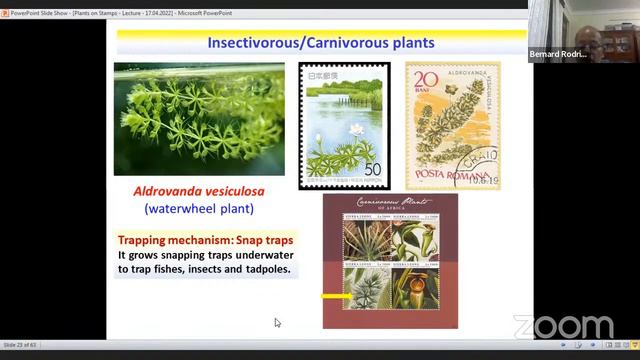 4] Philately Lecture series, Lecture no:4. смотреть онлайн