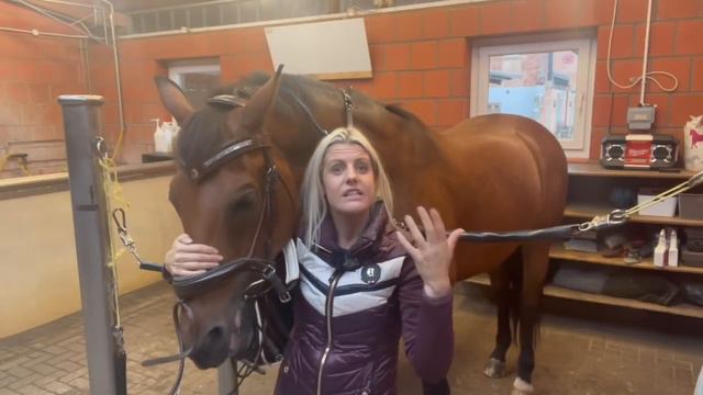 HOW TO CORRECTLY FIT A SNAFFLE BRIDLE - DMA TV EP 340 | Equestrian Must Knows смотреть онлайн