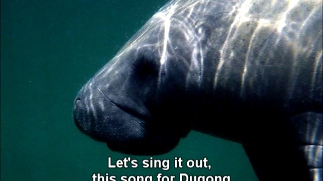 Dugong Song - Let's Love The Dugong смотреть онлайн