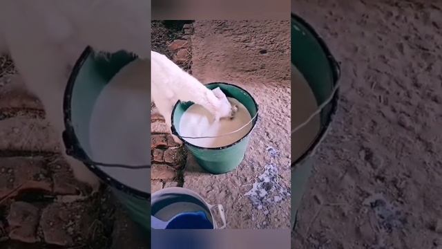 Есть нужно хотеть так, чтобы как будто в последний раз..!!! ?От души, содержательно!! С упоением... смотреть онлайн