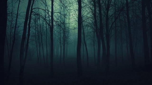 What is the FARAWAY tree in the EPIX Tv Series From??? смотреть онлайн