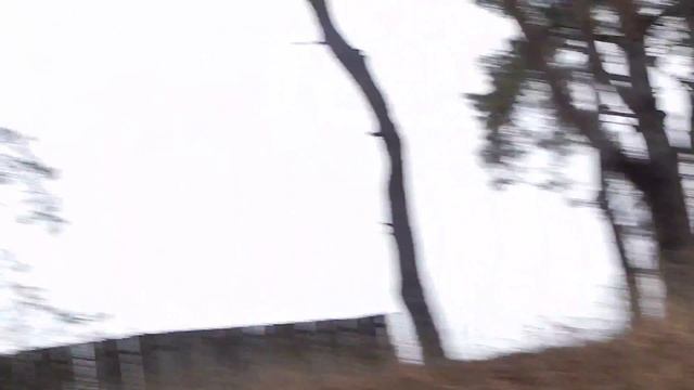 Кременье, Ока, Чара, Рыбак ловит рыбу, ГРЭС, Дятел стучит на сосне смотреть онлайн